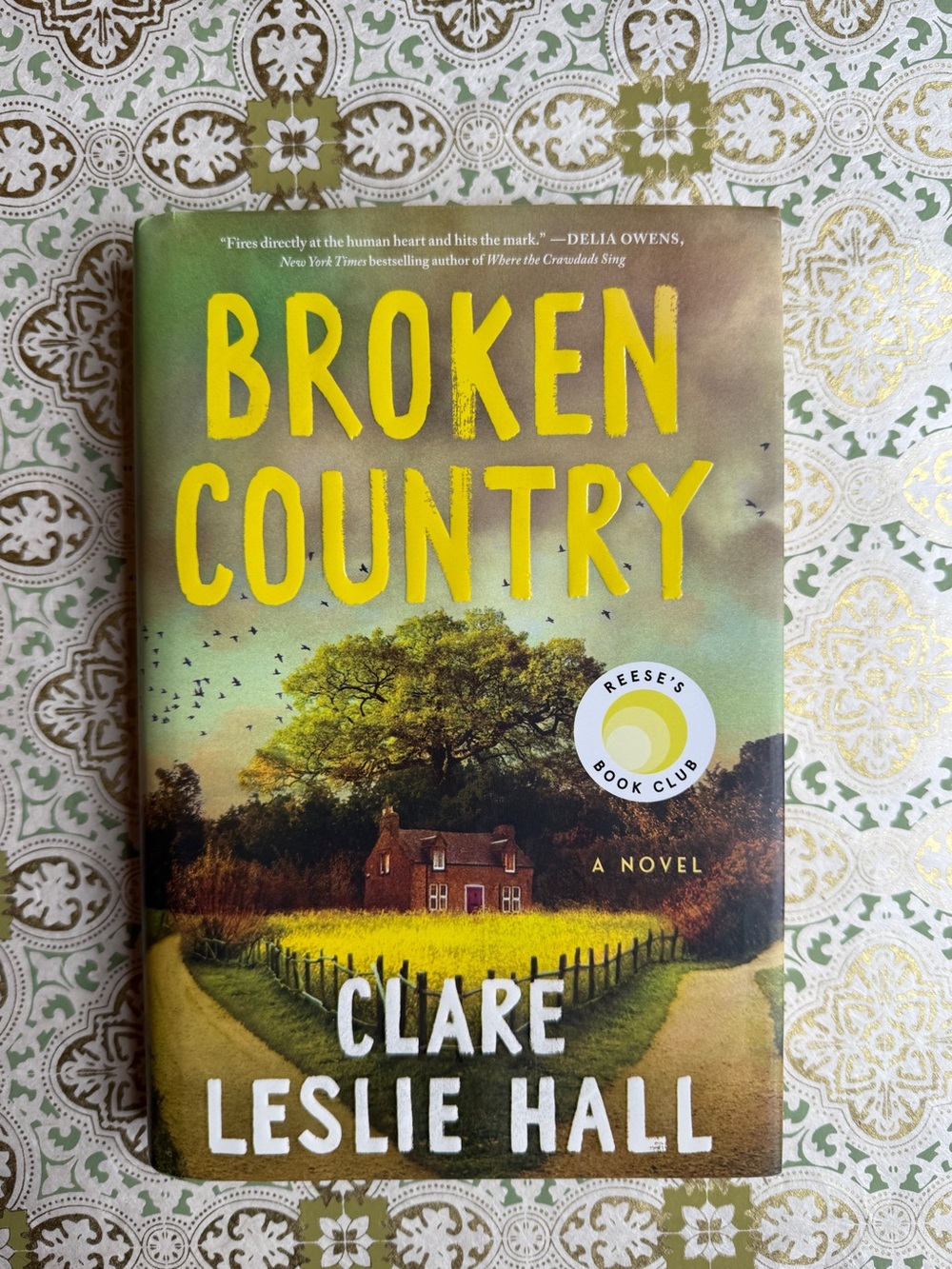 Broken Country by Clare Leslie Hall - Yellow & Green Hardcover Novel